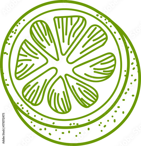 Hand-Drawn Citrus Slice