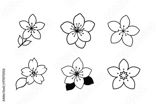 set of delicate cherry blossom floral vector illustration