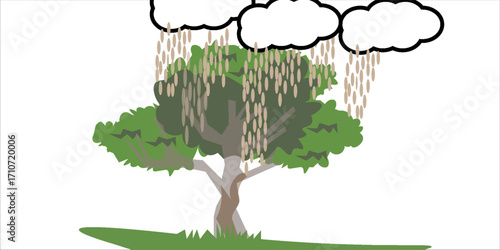 A lush, green tree with a broad canopy. The tree stands on a patch of grass, and its branches spread out in various directions.
