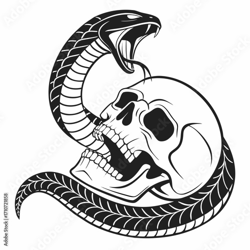 Aggressive cobra snake coiled around human skull silhouette isolated on white background