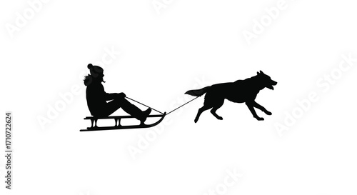 Silhouette of a person on a sled pulled by a running dog