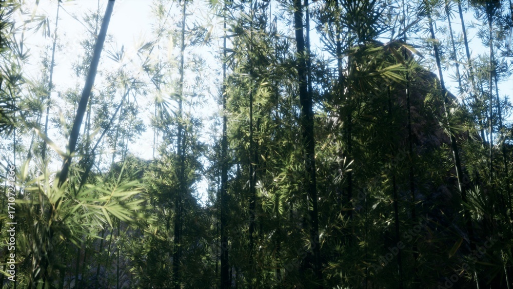 Naklejka premium Sunlight casts a gentle glow as it filters through dense bamboo foliage, creating a tranquil atmosphere. This lush environment invites a sense of peace and connection with nature.