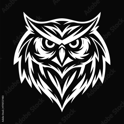 White owl stares intensely with detailed plumage on black backdrop