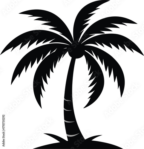 Flat Black Silhouette of Coconut Tree with Long Curved Leaves on White Background