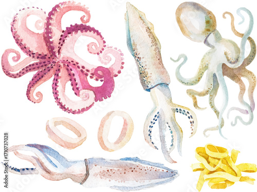 Vector watercolor painted octopus and squid.