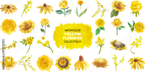 Vector watercolor yellow flowers clipart