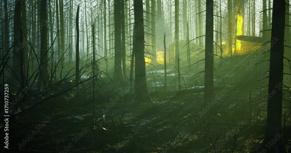 Naklejka premium Amidst the towering trees and dense fog of a tranquil forest, a warm glow illuminates the surroundings as dawn breaks, creating a serene yet enigmatic atmosphere in nature.