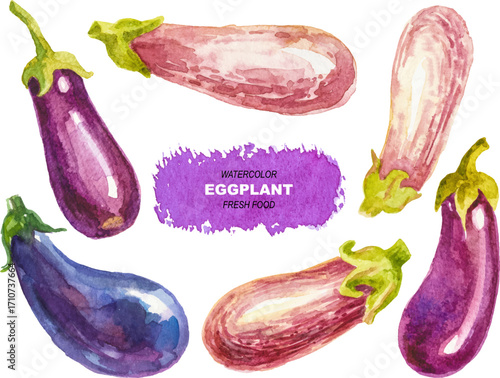 Vector watercolor painted eggplant clipart