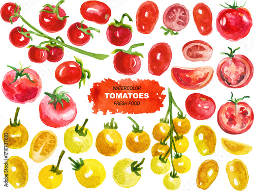 Vector watercolor painted tomatoes clipart