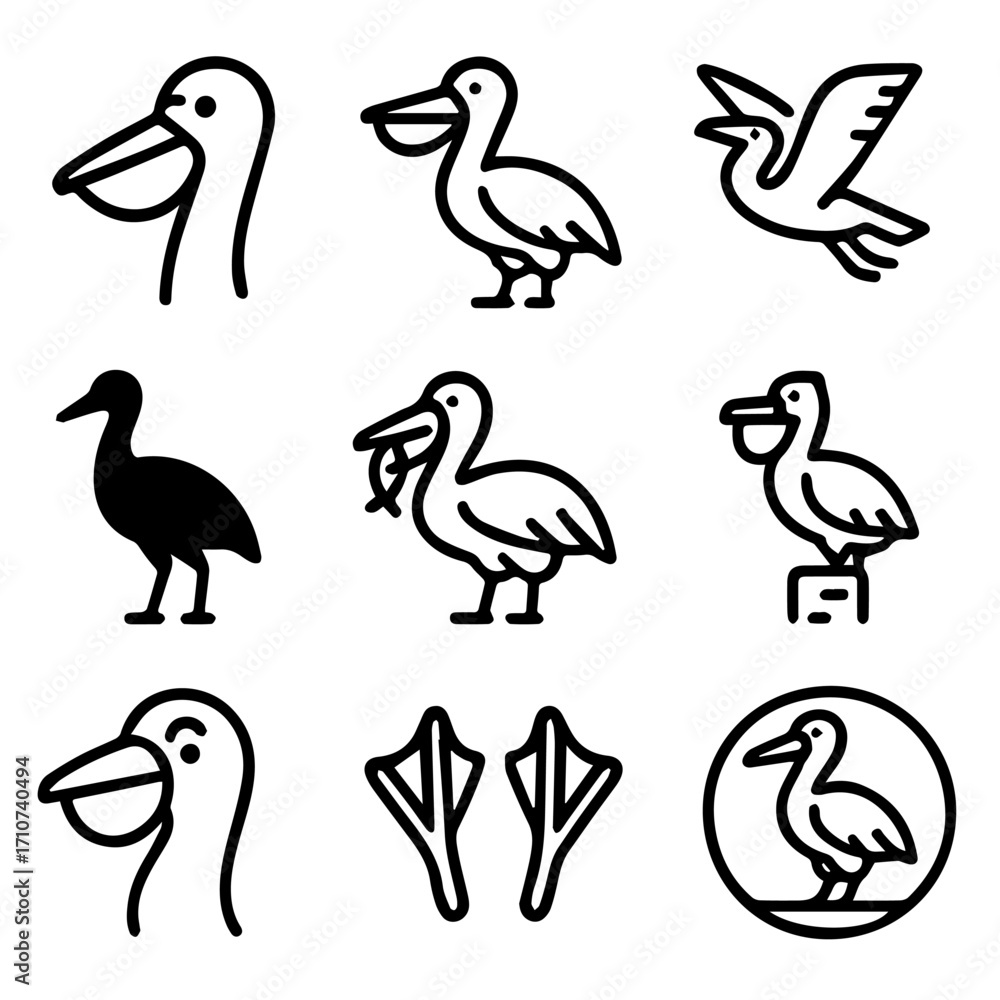 Obraz premium Stylized Pelican Illustrations Showcasing Various Poses and Design Elements.