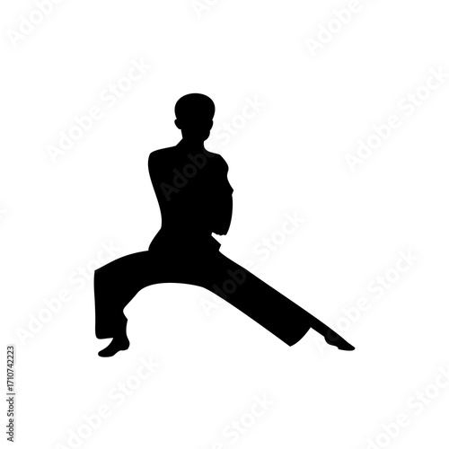 A striking silhouette of a woman in a karate stance, showcasing a powerful and focused pose.
