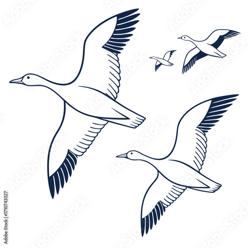 A flock of geese flying south in formation against a white background stylized outline illustration