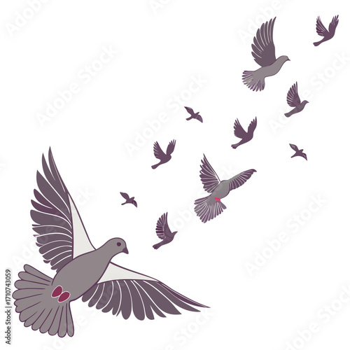 A flock of gray pigeons with purple accents flying gracefully against a white background