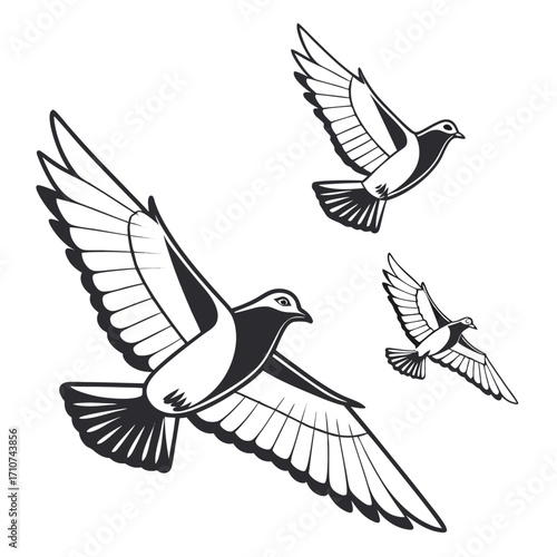 Three stylized black and white pigeons in flight with wings spread wide against a white background