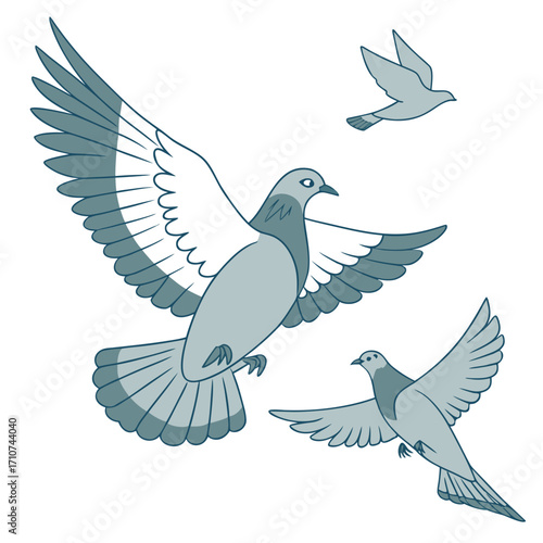 Three stylized pigeons in flight with wings spread against a white background in a simple graphic illustration