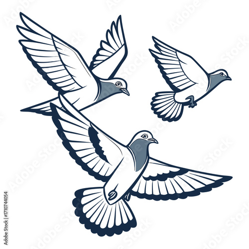 Three stylized racing pigeons in flight with wings spread and detailed feathers against a white background