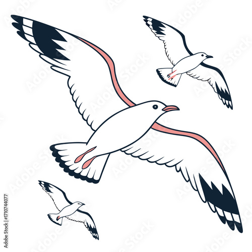 Three stylized white seagulls with dark wingtips and pink accents in graceful flight against a white background