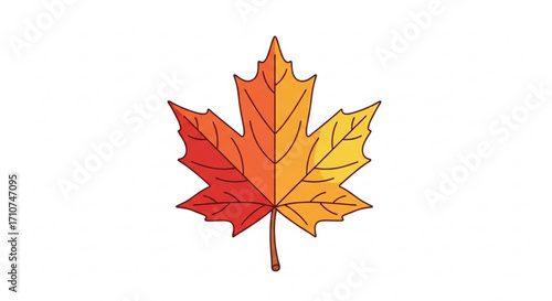 Autumn maple leaf illustration vector graphic for fall season foliage design and thanksgiving day decoration