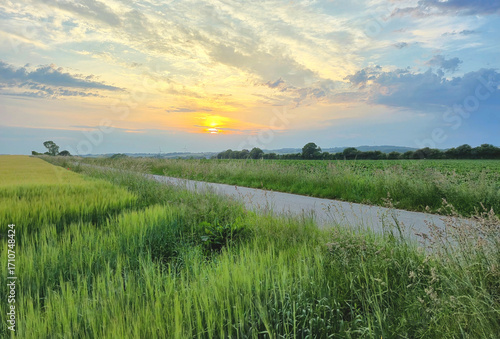 Summer sunset sky over Danish country side landscape with fields of crops