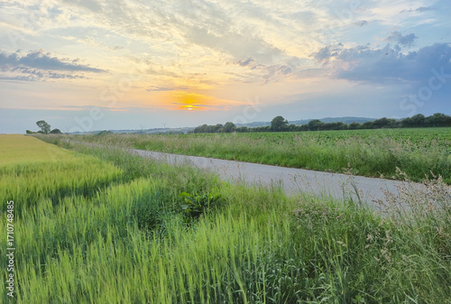 Summer sunset sky over Danish country side landscape with fields of crops