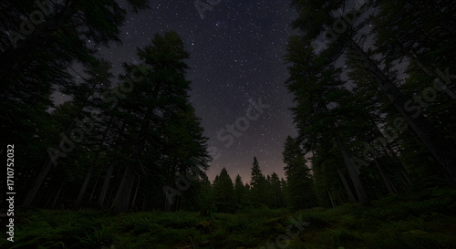 imaginary night sky