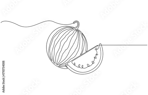 Continuous one line drawing water melon fruit. juicy summer fruit concept, watermelon. modern minimalist art,  decorative elements drawn on a transparent background.