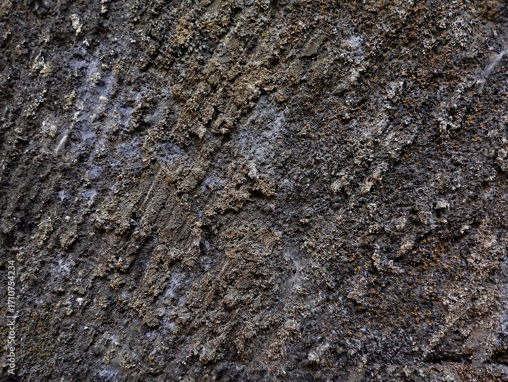 Obraz premium rough sand stone wall texture