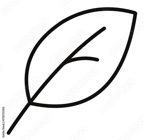 Nature walkers explore serene forest trails scenic landscape adventure tranquil vistas