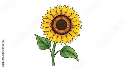 A vibrant sunflower illustration, showcasing its bright yellow petals, brown center, and green leaves in a detailed design