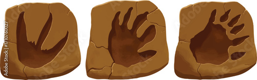 wooden shoes isolated on white