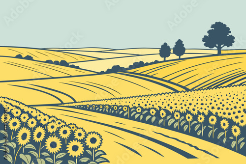 Illustrate the sunflower fields of Kansas stretching to the horizon, modern flat illustration style