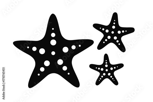 starfish on black background