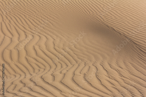 Golden sand dunes with natural wave patterns in Yazd desert, Iran, showcasing stunning textures shaped by wind, perfect for backgrounds and nature themes.