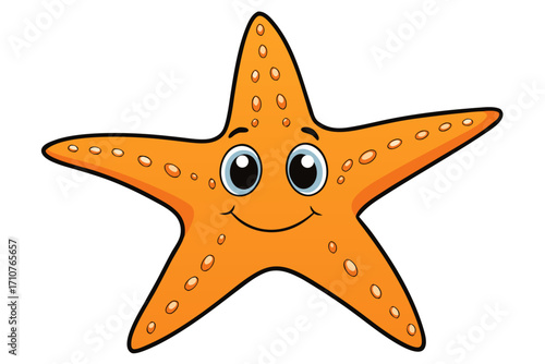 vector illustration of a starfish
