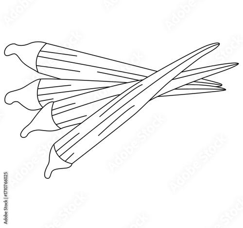 Cute cartoon hand drawn vector lady finger outline.