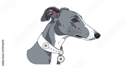 A detailed illustration of a greyhound dog wearing a collar and tag.
