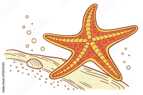sea star vector illustration