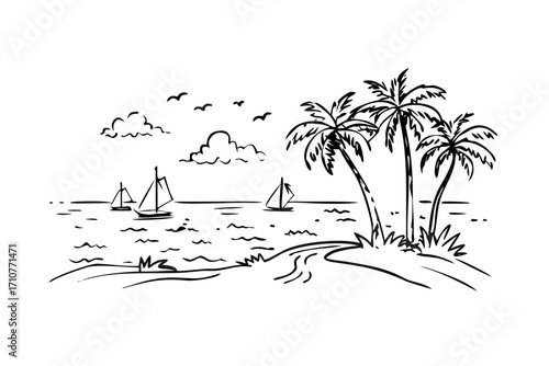 palm tree on the beach