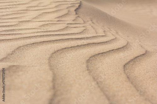 Golden sand dunes with natural wave patterns in Yazd desert, Iran, showcasing stunning textures shaped by wind, perfect for backgrounds and nature themes.