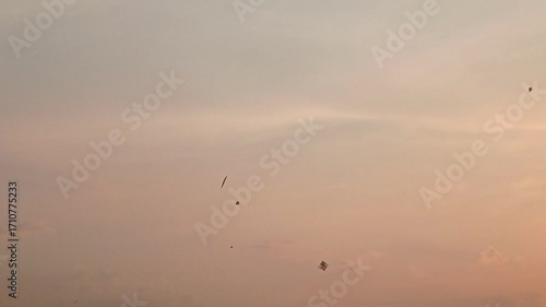 kites in the clear afternoon sky