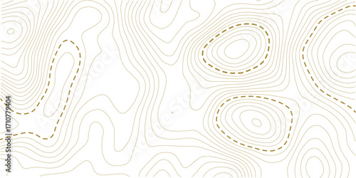 Vector seamless background, subtle pattern. topographic map background concept. Abstract sea map and mount map area space geometric line technology topo landscape grid map texture.