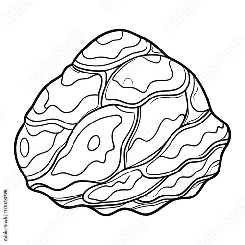 Seastone kids line art vector t shirt silhouette design, high-quality detailed artwork for adult coloring books, printable therapy, relaxation, and stress relief activity.