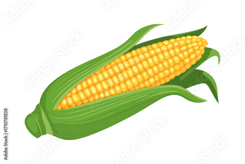 Vibrant Ear of Corn with Fresh Green Husk Isolated on White Background a Symbol of Harvest and Healthy Eating