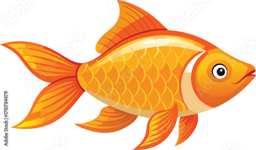 gold fish isolated on white
