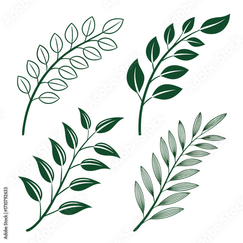 Collection of hand drawn botanical leafy branches and sprigs