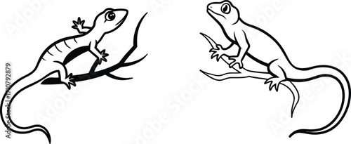 Lizard on a tree branch line art illustration