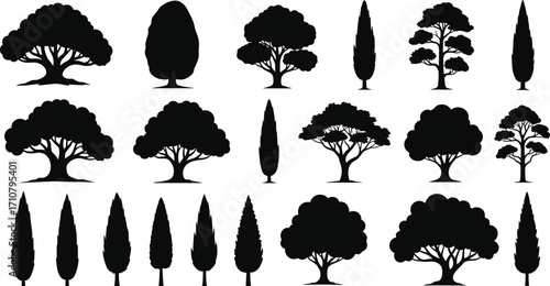 Tree silhouettes, black foliage, nature icons, forest shapes, botanical elements, landscape design, conifer trees, vector trees, tree collection, isolated trees