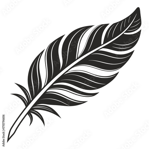 Hand drawn sketch of a single black feather with white stripes on a white background