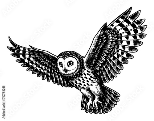 Flying Owl Spreading Wings Black and White Outline Line Art Drawing Detailed Engraved Vintage Style Isolated Object