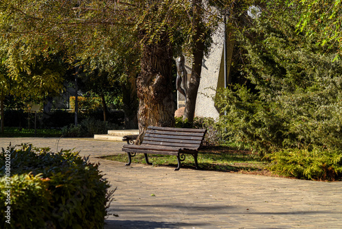 Fototapeta Naklejka Na Ścianę i Meble -  Park bench under trees in shade. Empty wooden park bench in shaded alley surrounded by green trees on sunny day.